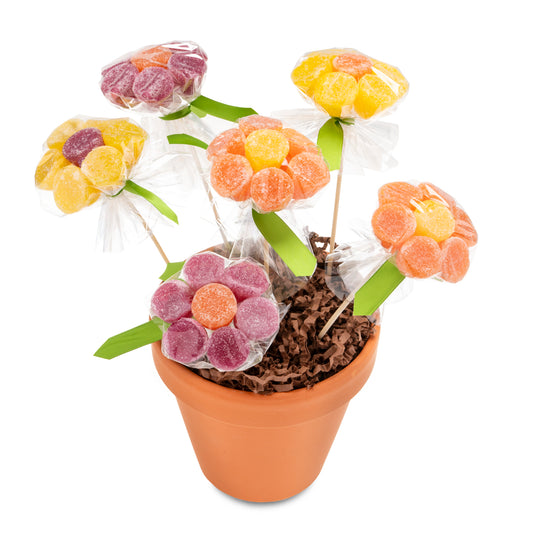 Flower Pot with Candy Flowers