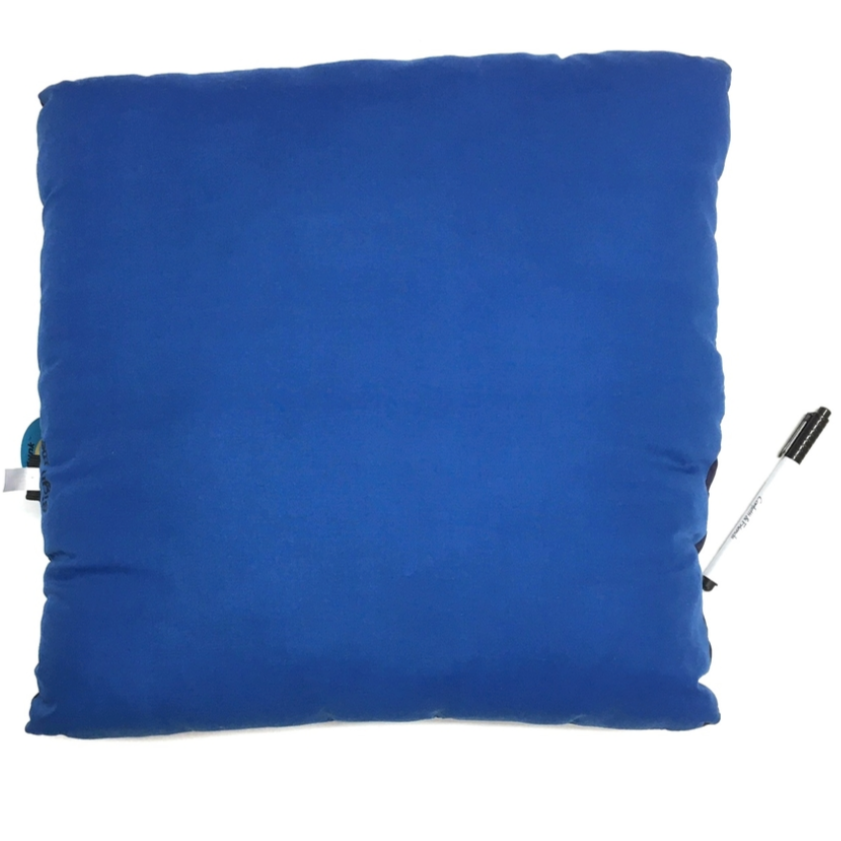 Sports Autograph Pillow