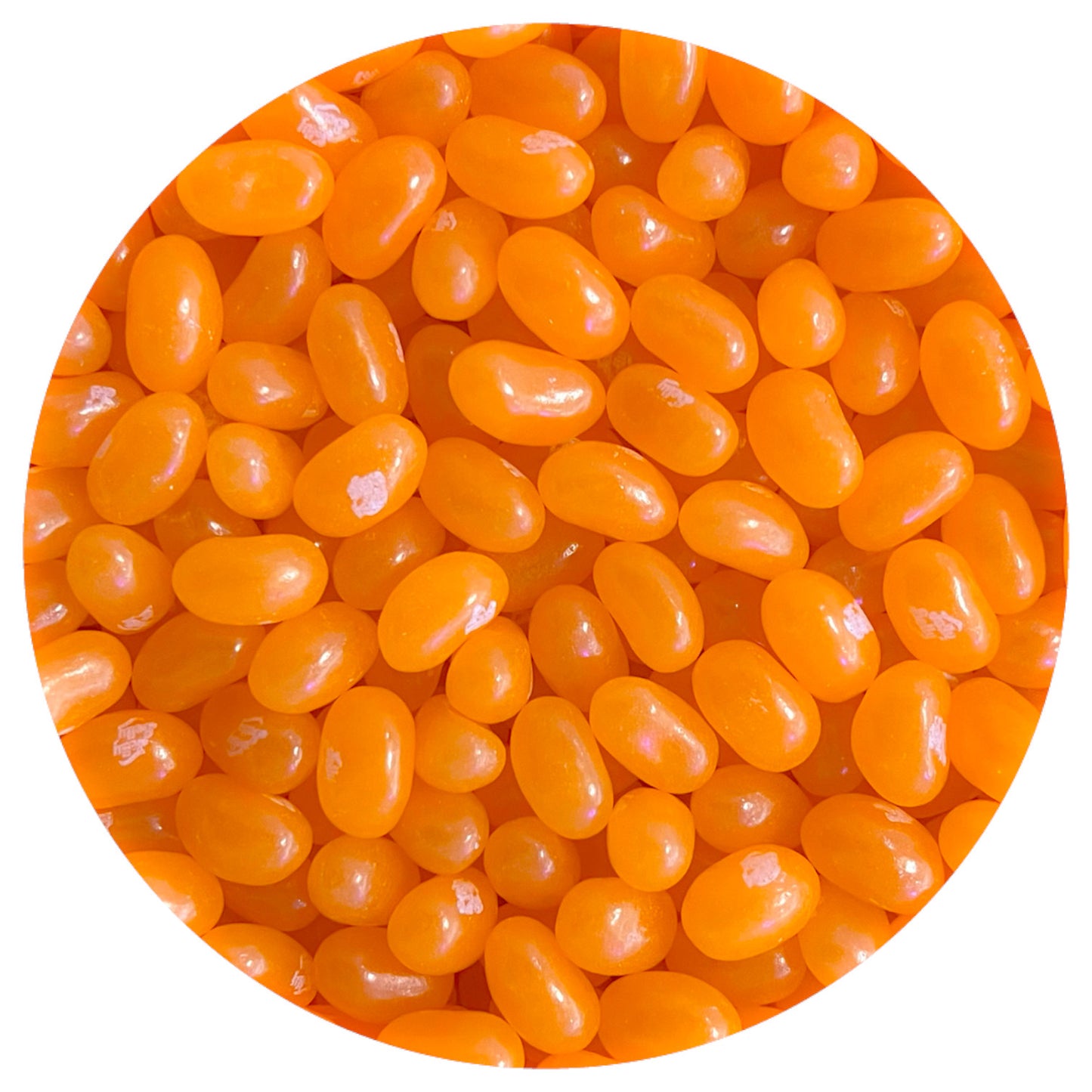 Orange Sunkist Jelly Bellys